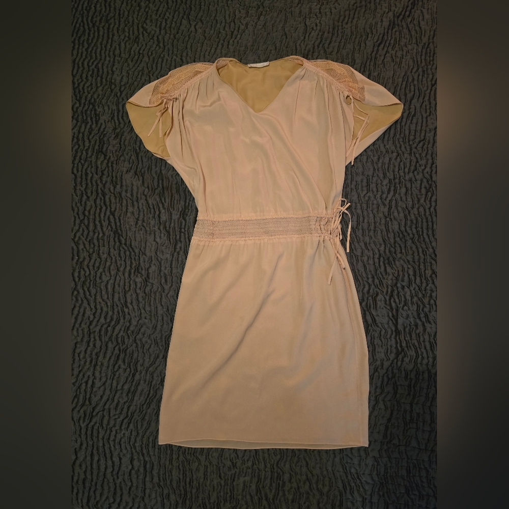 Chloe Dusty Pink Sheath Dress Small